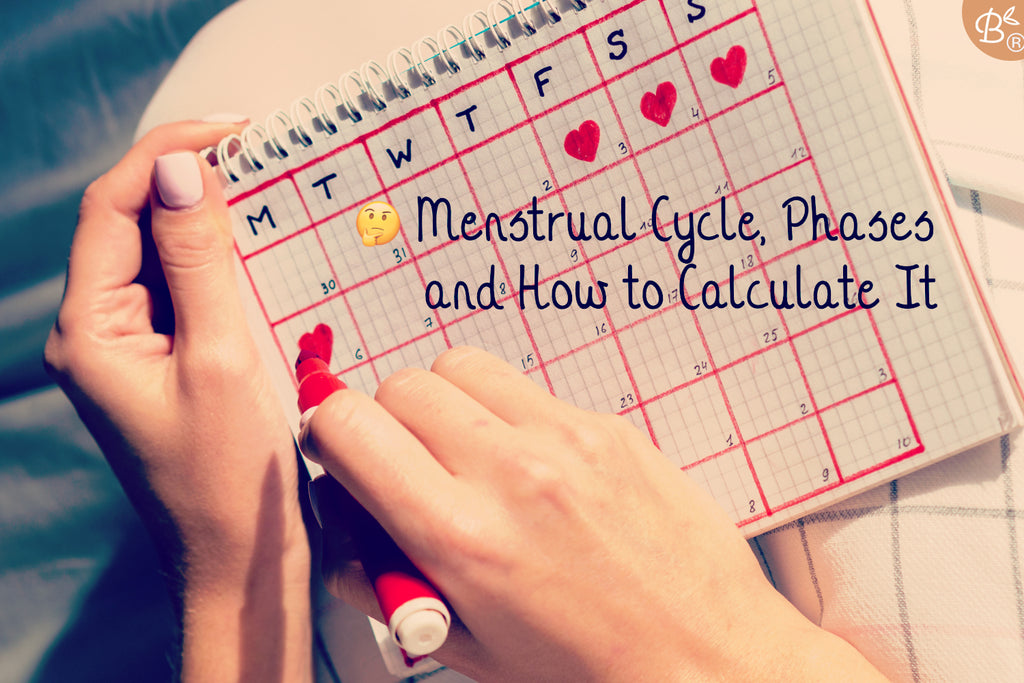 🗓️  Menstrual Cycle, Phases and How to Calculate It